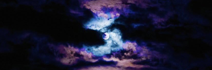 Tess_Elizabeth2's profile banner image