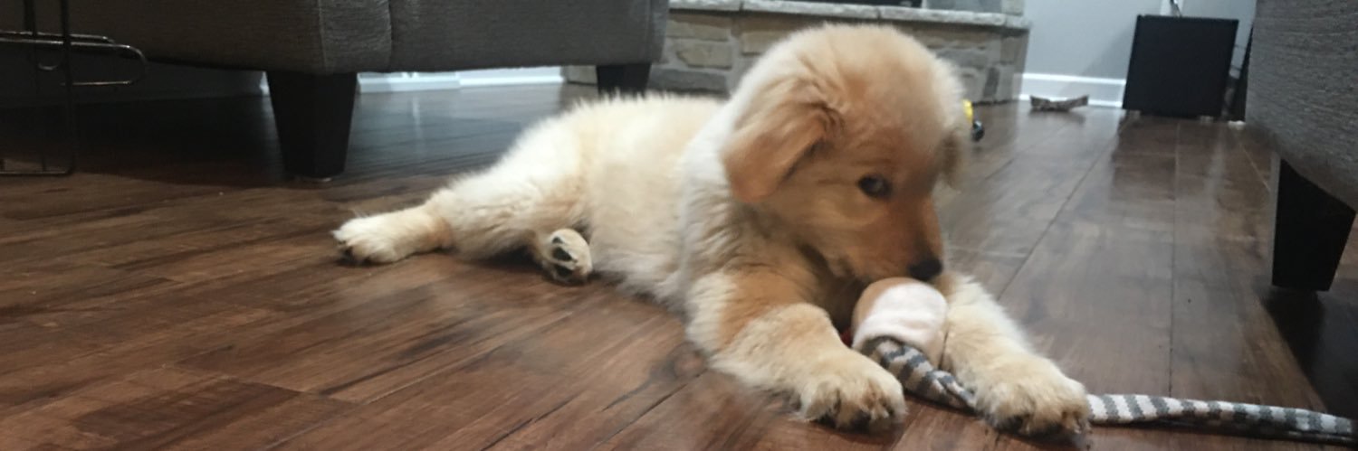 Tim Harder, CETL banner