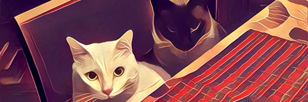 erleonxito's profile banner image