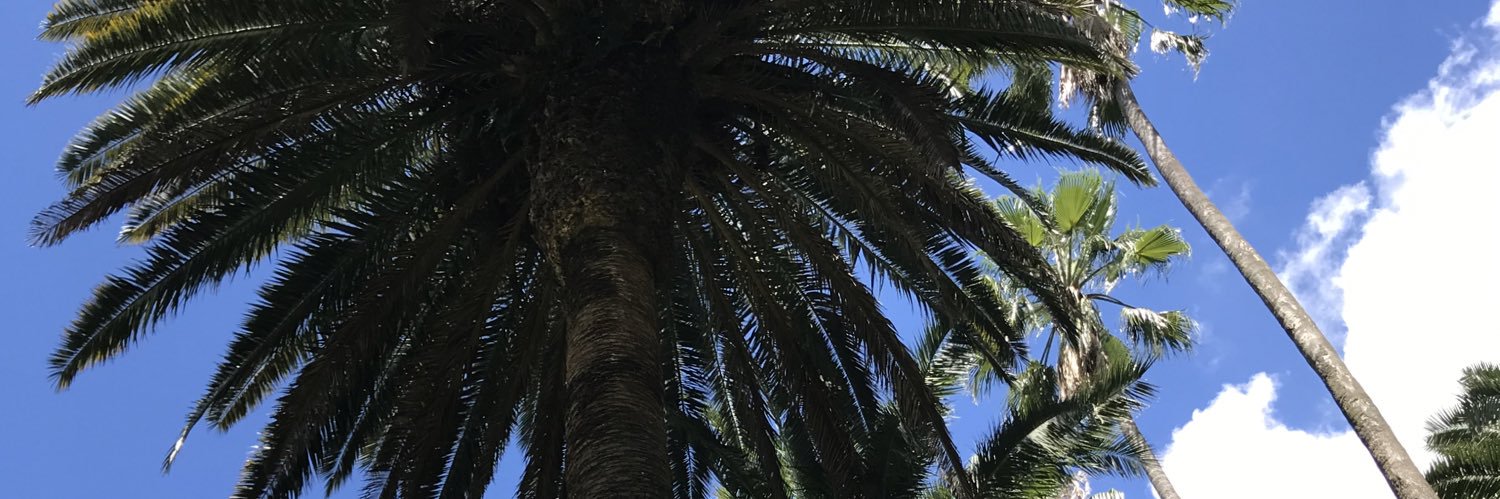pedrogcosta's profile banner image