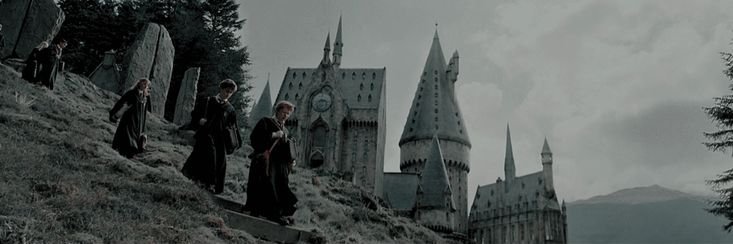 Brunoo banner