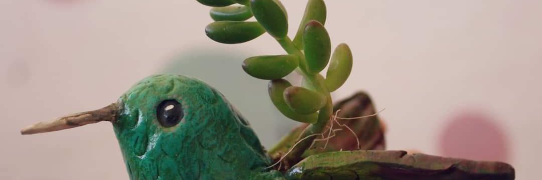 _BrendaOlmos's profile banner image
