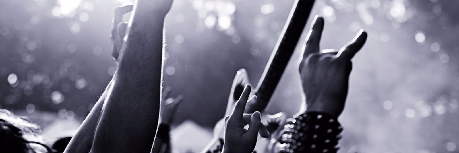 Anita D banner