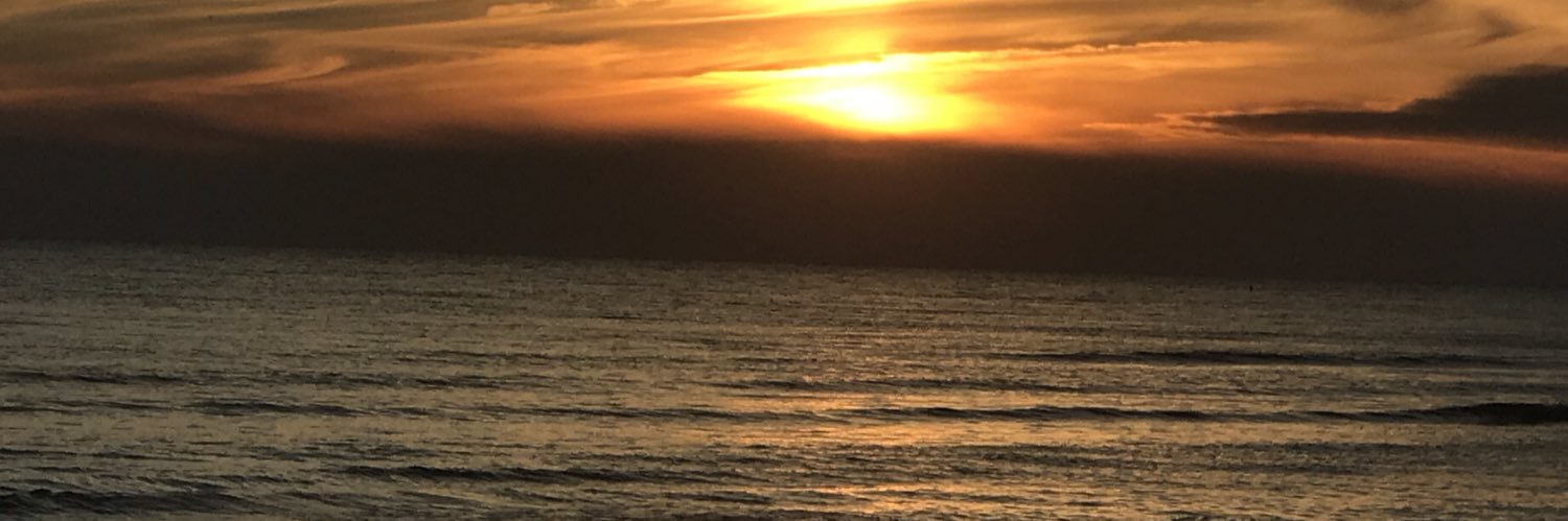 Menardsguy1991's profile banner image