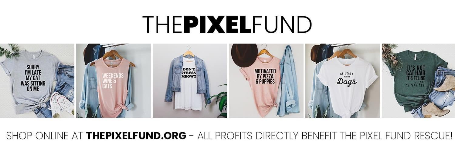 ThePixelFund's profile banner image