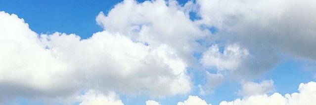 df_elena_'s profile banner image