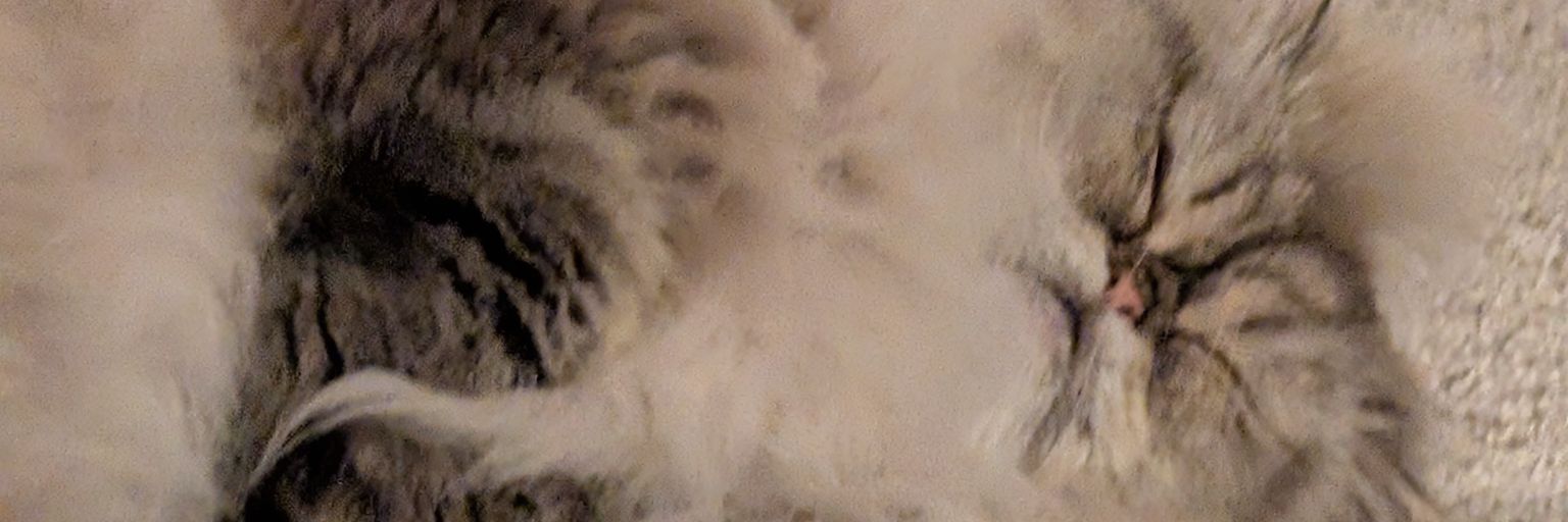 jstarrandom's profile banner image