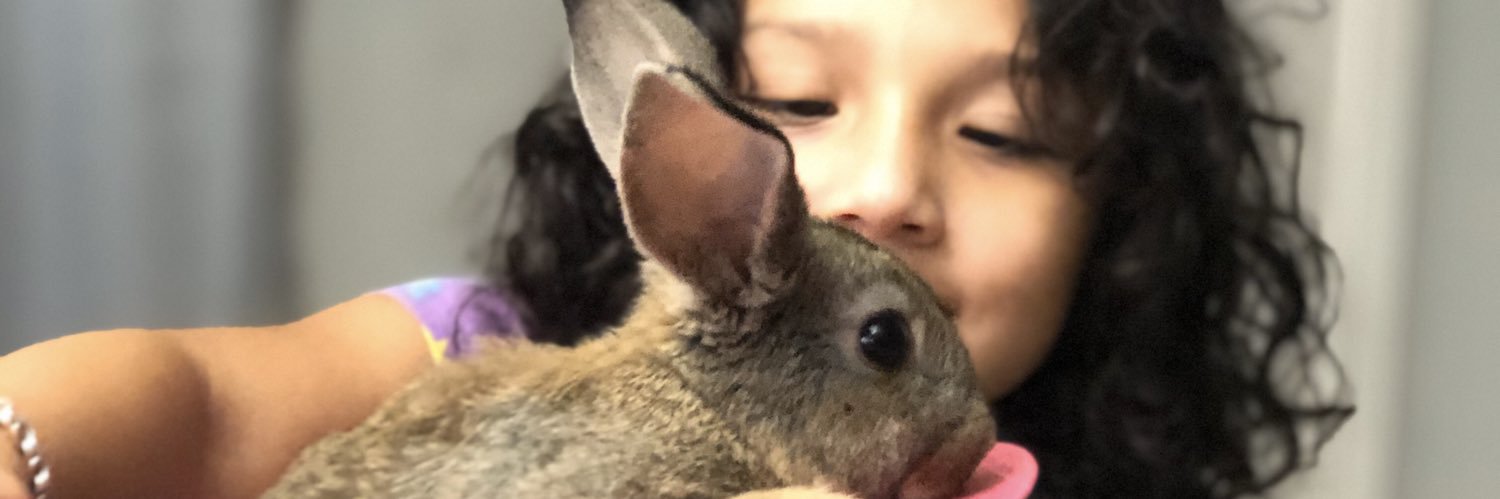 normiess_'s profile banner image