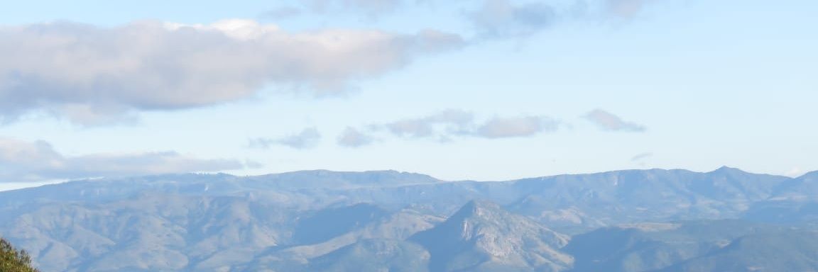 TawandaMatanda's profile banner image