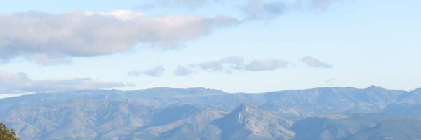 TawandaMatanda Profile Banner