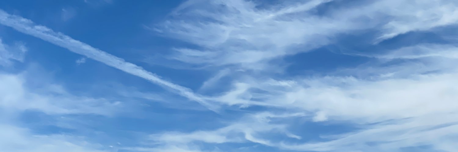 celeste walter 🍊🍊🍊 🍊🇳🇱🇮🇪🇺🇸 banner