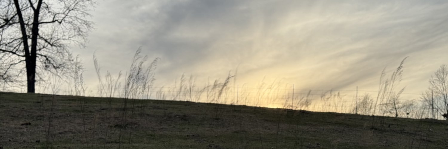 Dustin Parsons banner