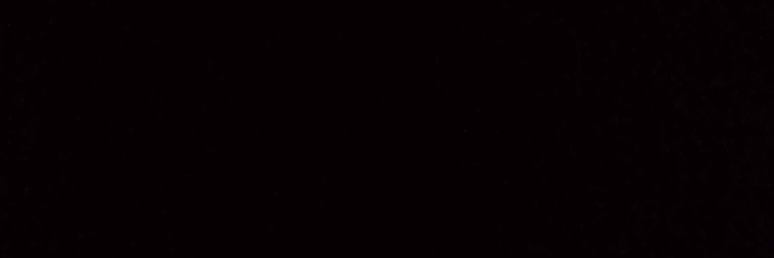 Tupi_i's profile banner image