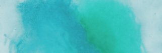 CannisaNH's profile banner image