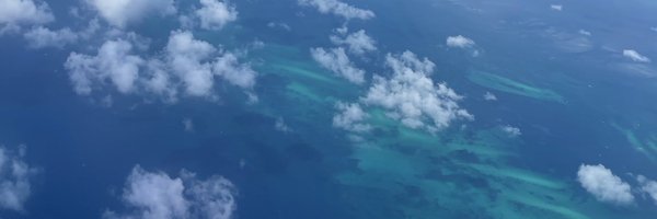 hon Profile Banner