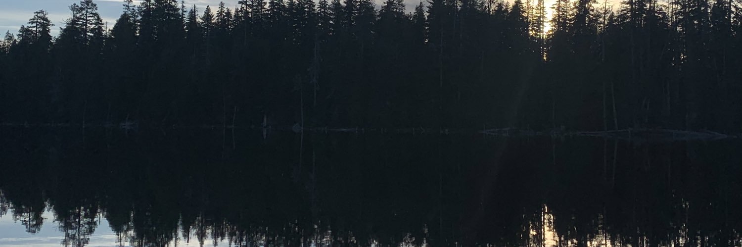 trincia's profile banner image