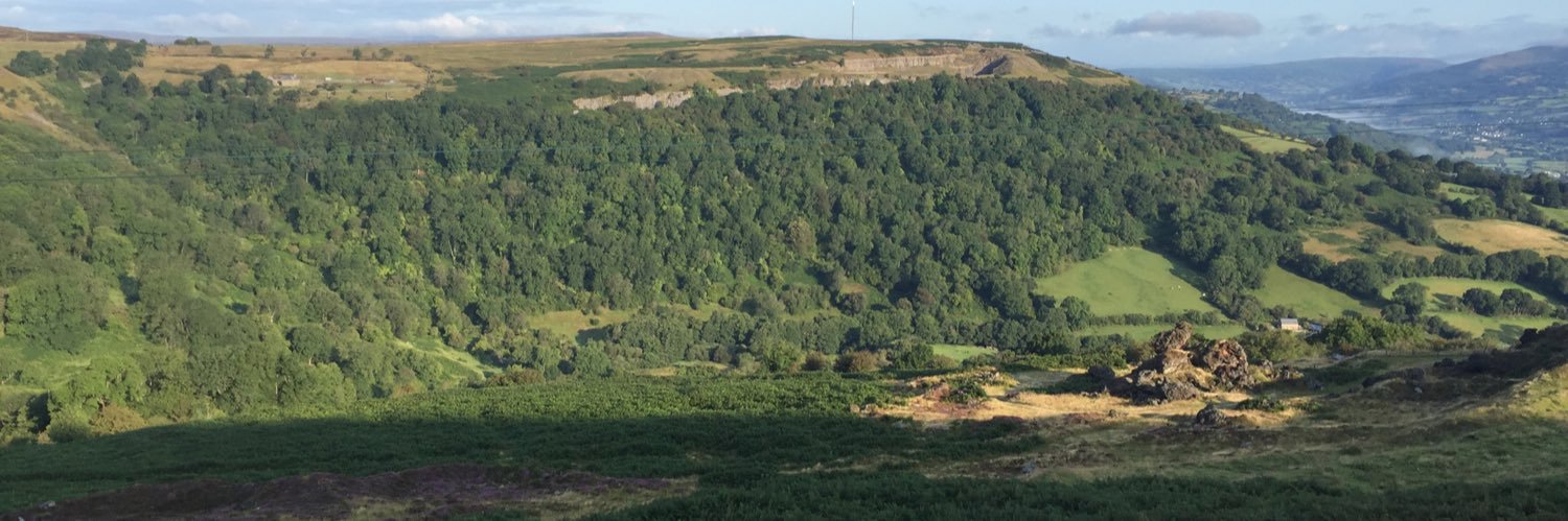 Nick Fackrell banner