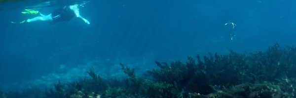 sarahsmith3813's profile banner image