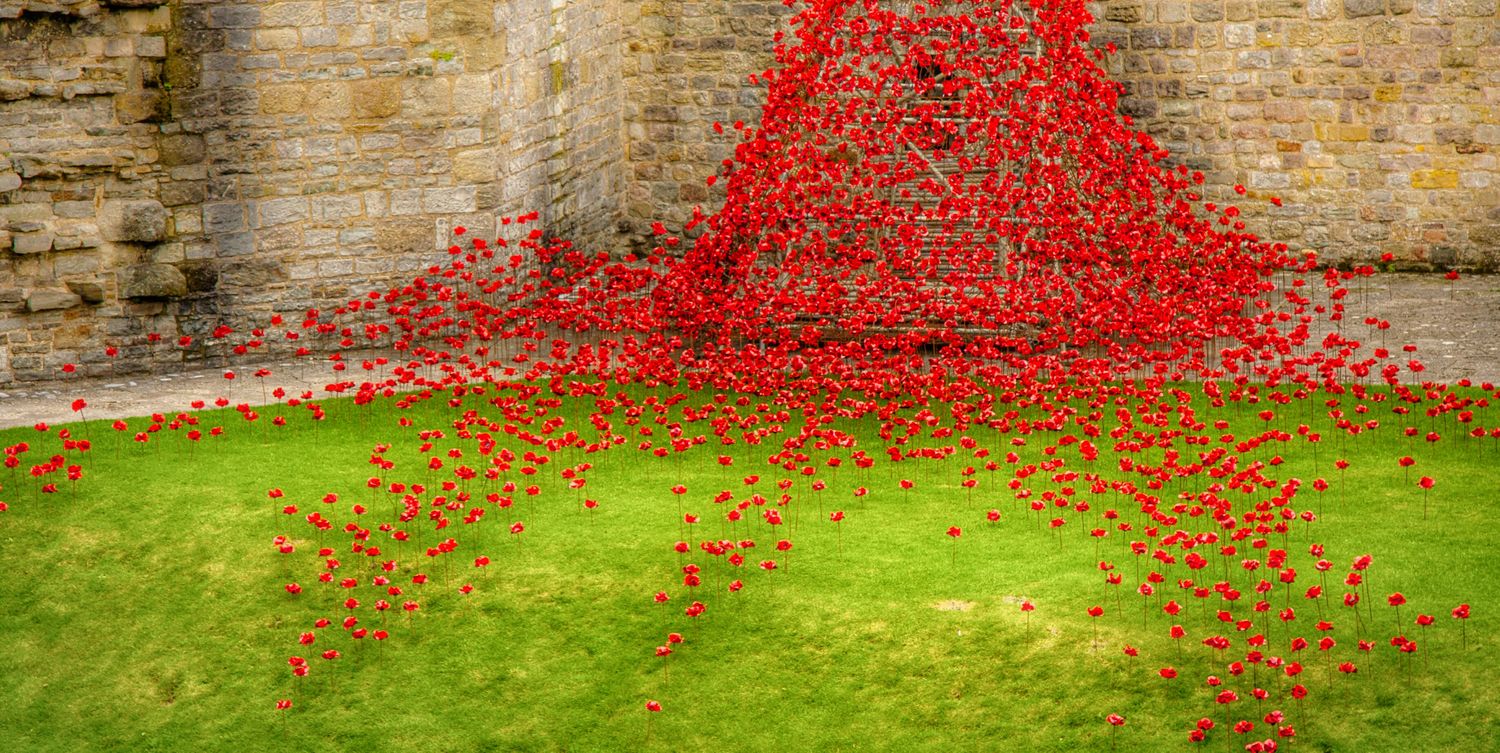 Colorectal-Cancer banner