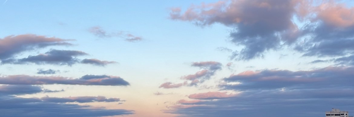nes1310's profile banner image
