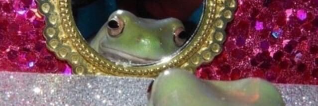 yungbecc's profile banner image
