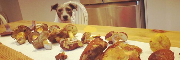 jackdee88 Profile Banner