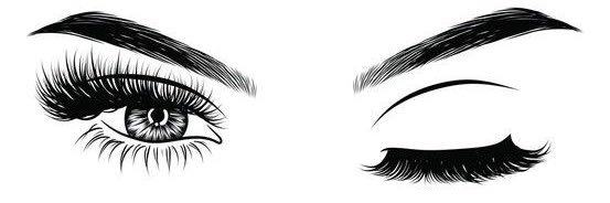 TaylorPeters11's profile banner image