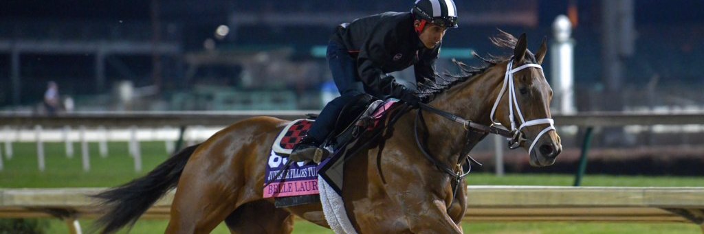 Norm W. Casse banner