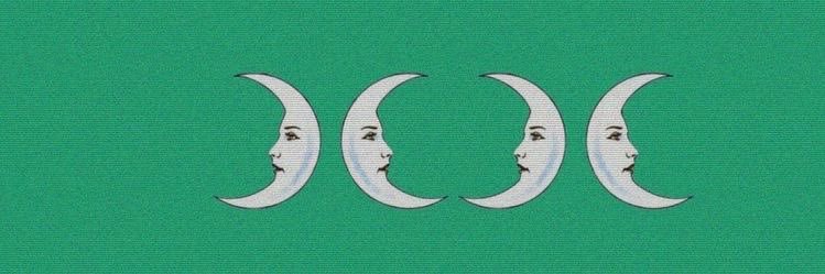 Настасья Филипповна banner