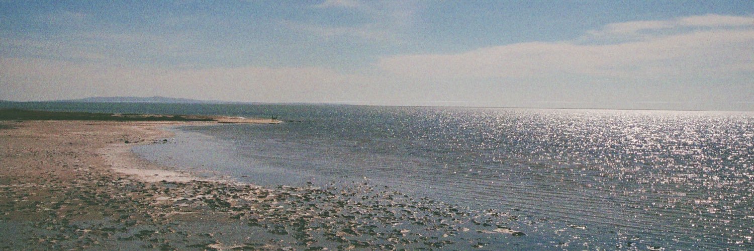 adakaradogan's profile banner image