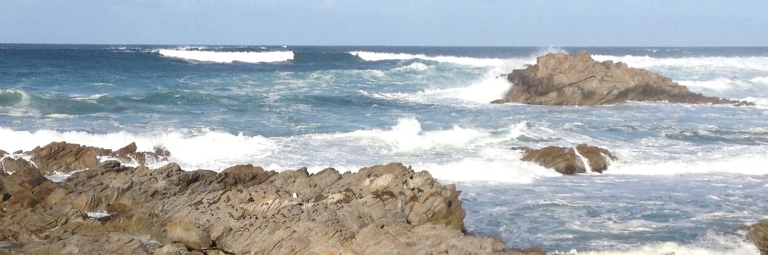 Rose of Sharon banner