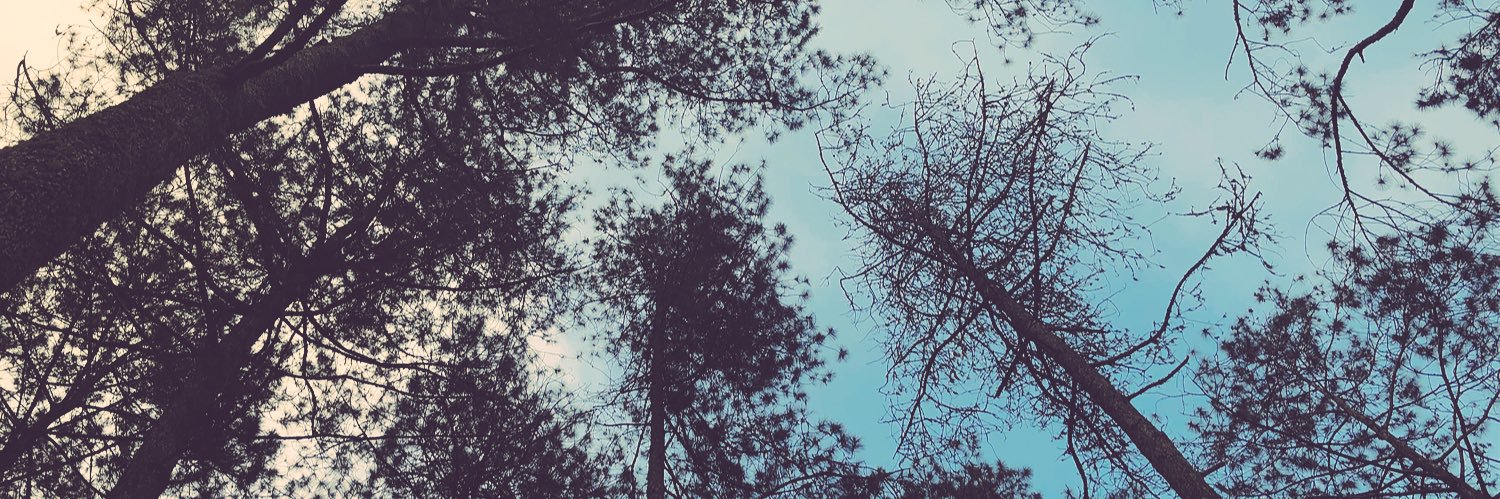 ibey_22's profile banner image