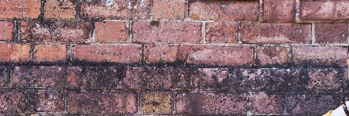douglasdbss's profile banner image