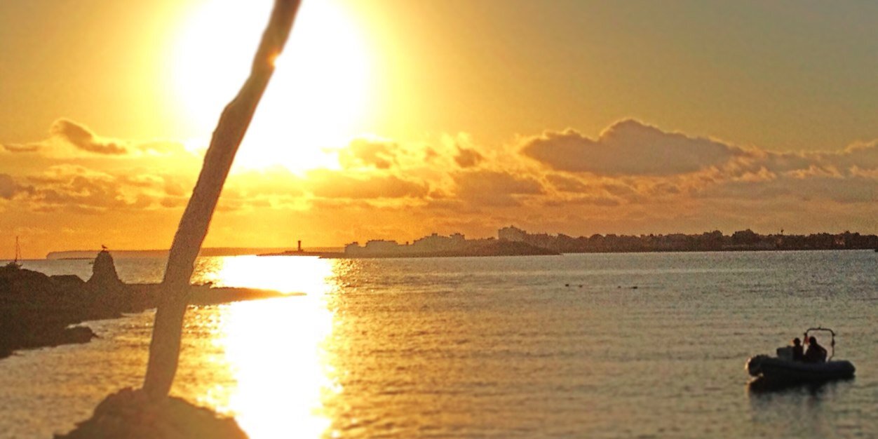 Pello Amengual banner