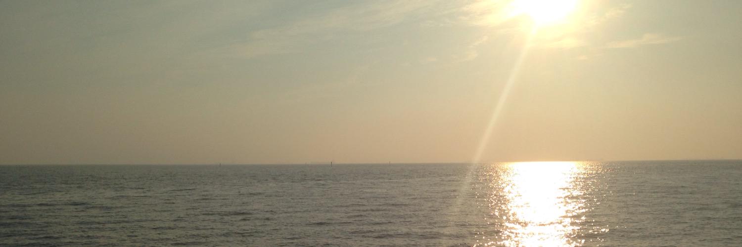 deeebsters's profile banner image