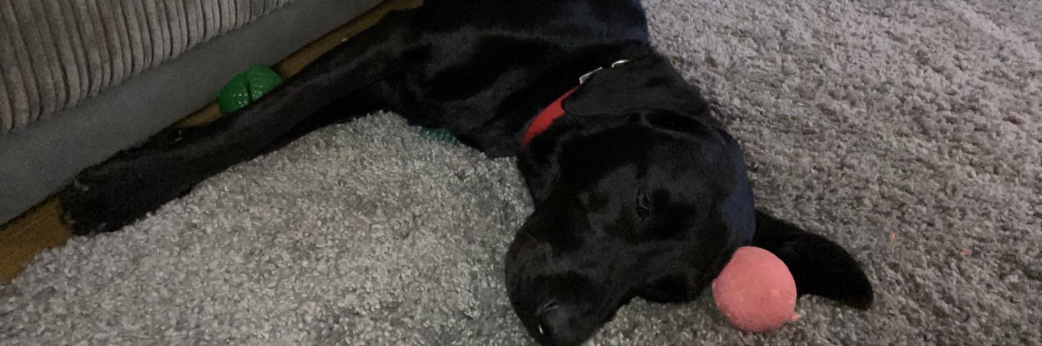 MrsBNiner's profile banner image
