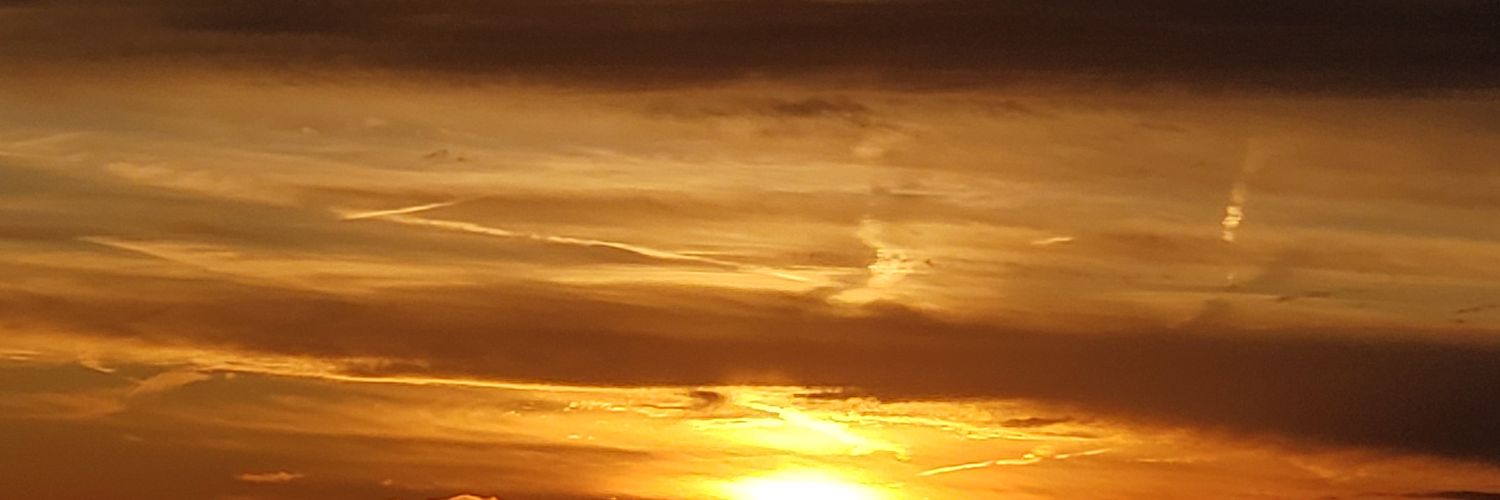 andy snyder banner