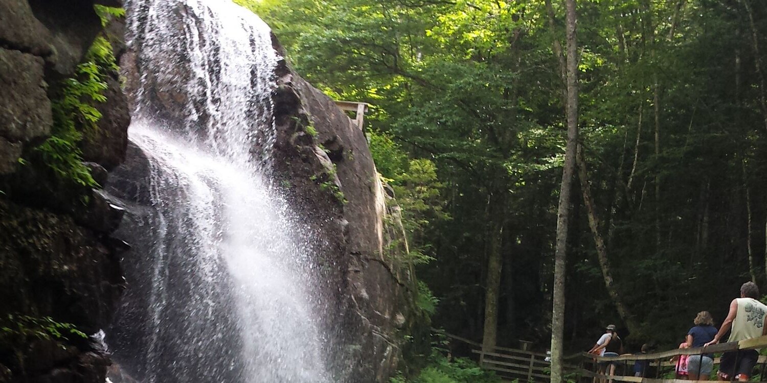 HeidiSimoneau's profile banner image