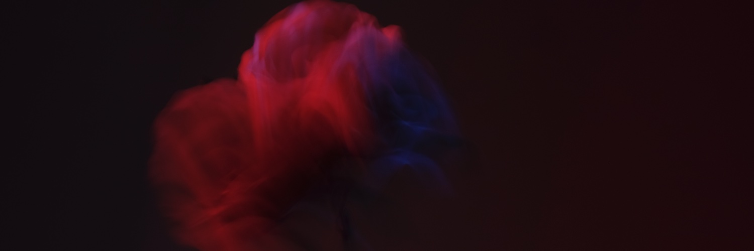 TimVanEmmerloot's profile banner image