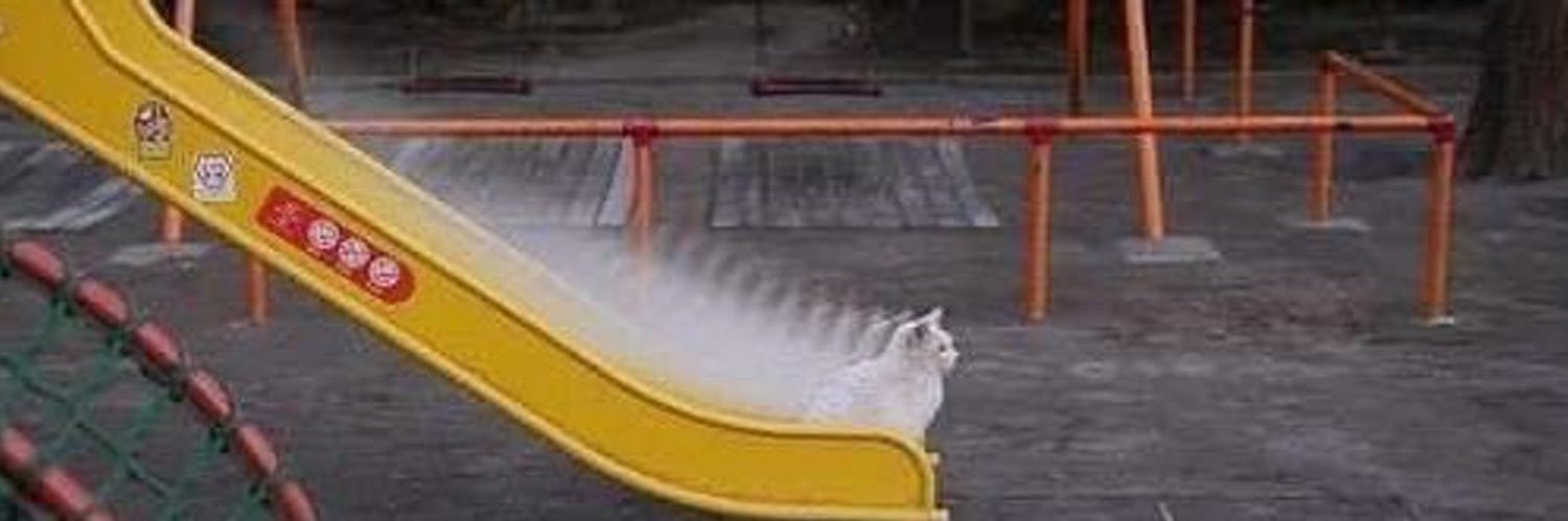 leon 🌟 didn’t buy blue banner