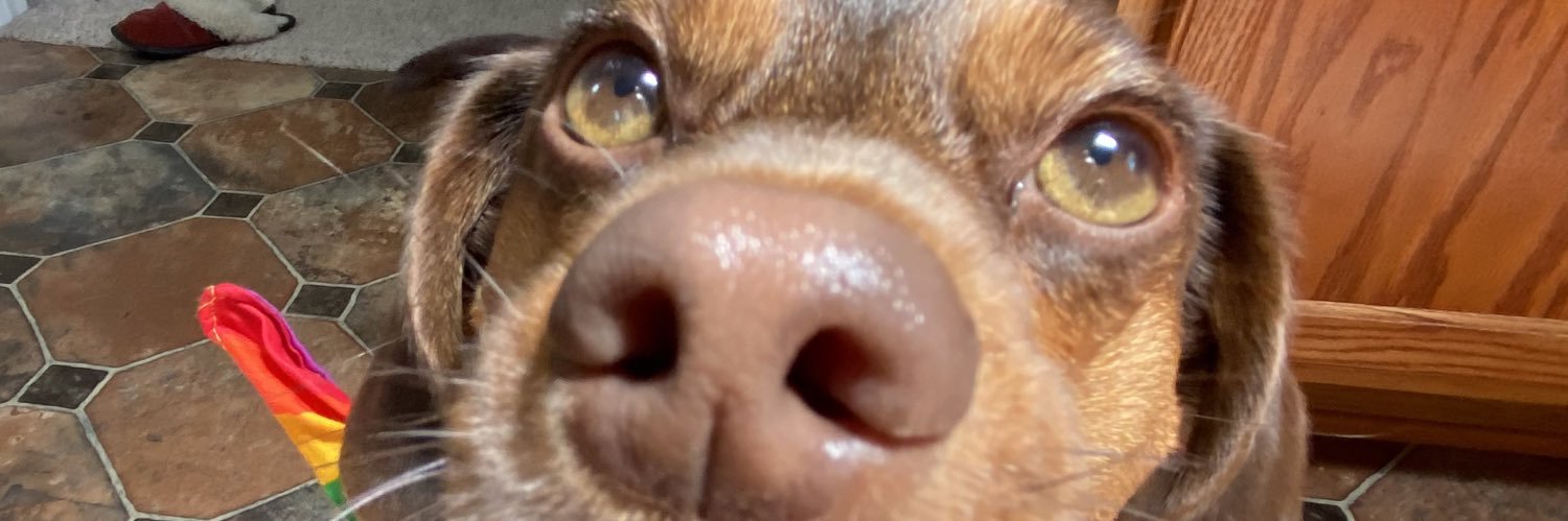 ohnonick4357's profile banner image