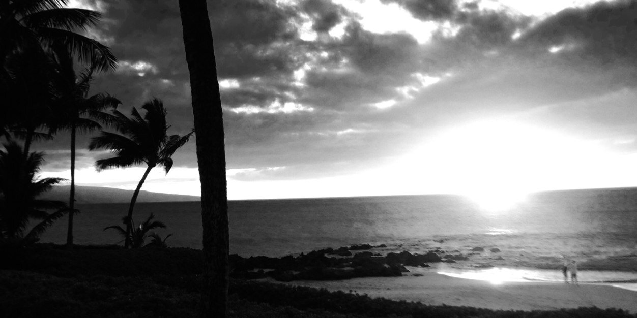 Jason Langhan banner