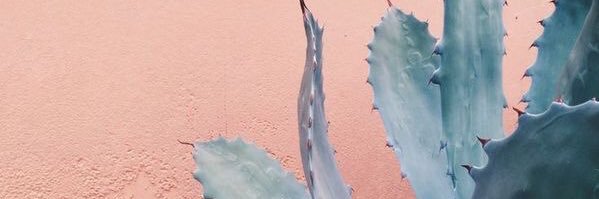 EmilyAngelina13's profile banner image