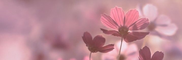 andreaacmr_'s profile banner image