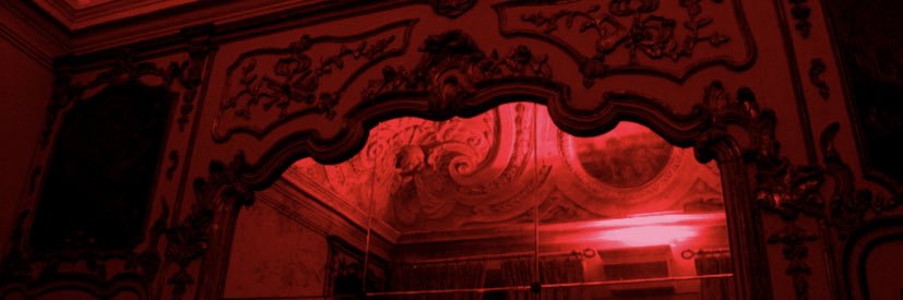 pickleselena_'s profile banner image