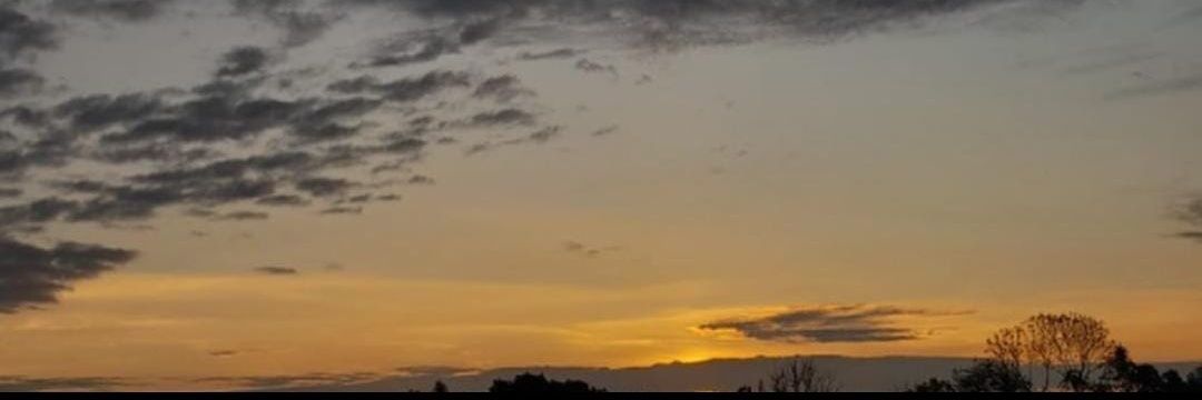 Chetosverdes98's profile banner image