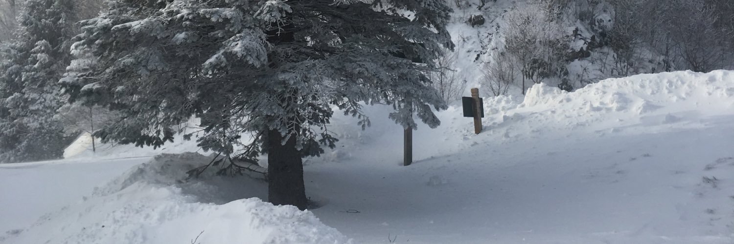 TimPayne_'s profile banner image