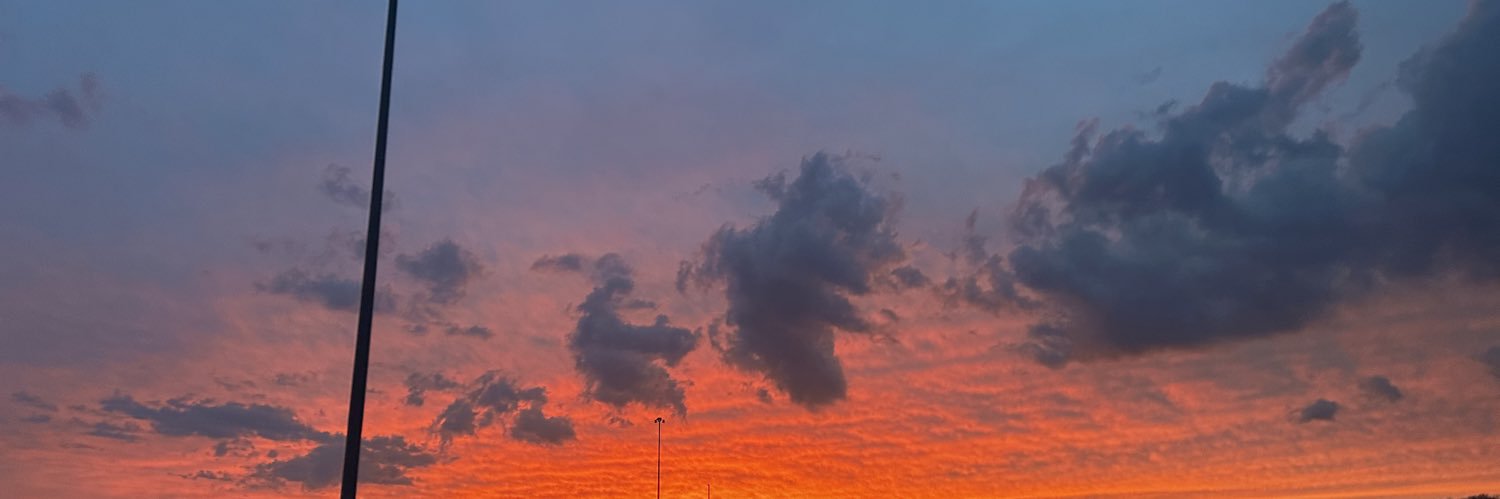 shelby banner