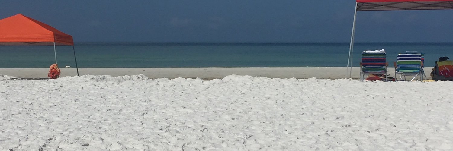 sandyharp's profile banner image