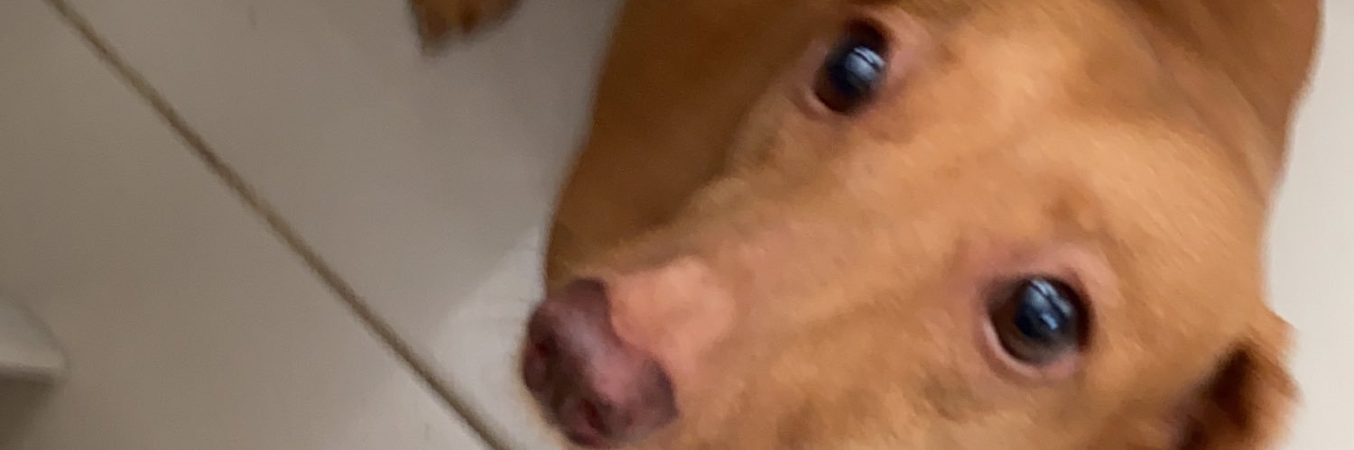 brunmotta's profile banner image